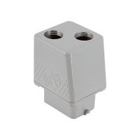 Stekkerhuis recht BIG, 2 nokken, 2xM25, 44.27